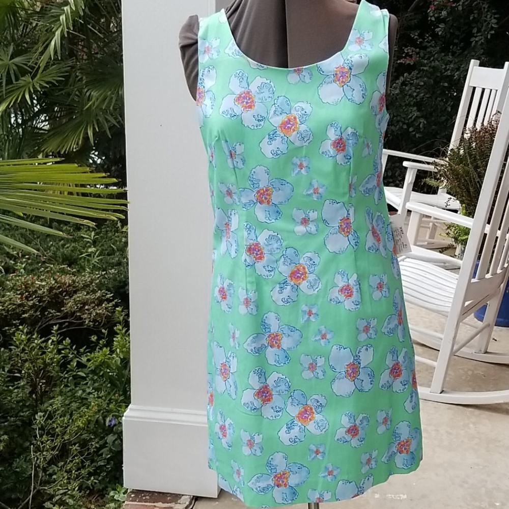 NWT Kaeli Smith Beautiful Dress